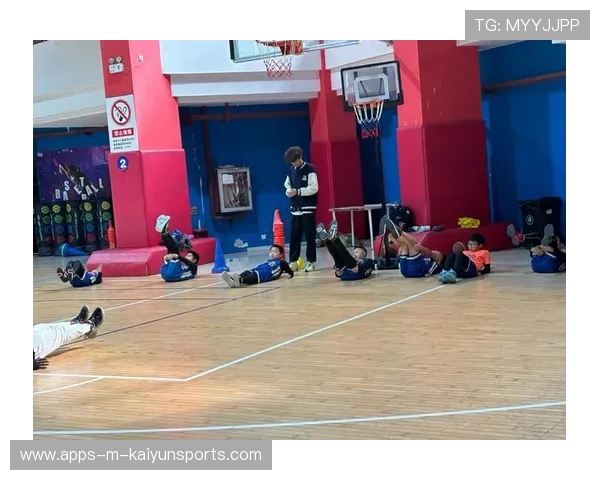 篮球在中国小学体育教学差异化改革中的实施路径，国内外小学篮球研究现状